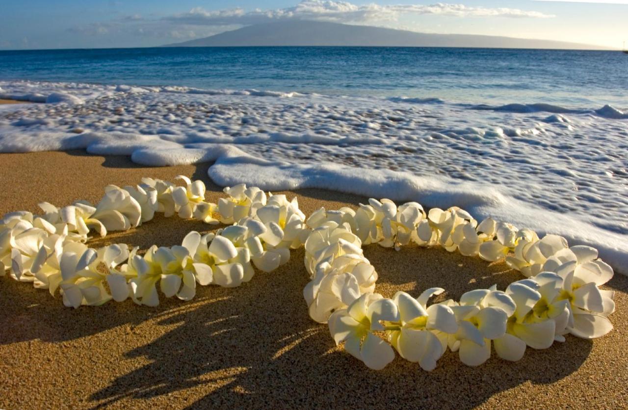 檀香山Beautiful Mountain View In Waikiki Sunset With Parking公寓 外观 照片